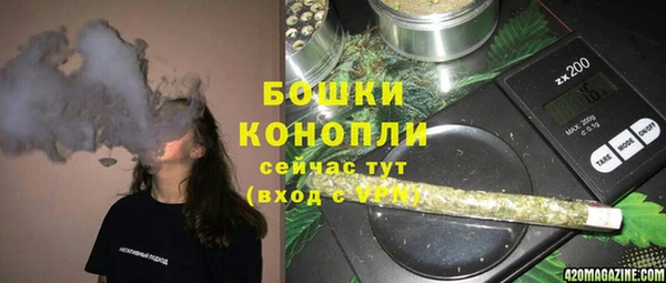 эйфоретик Вяземский