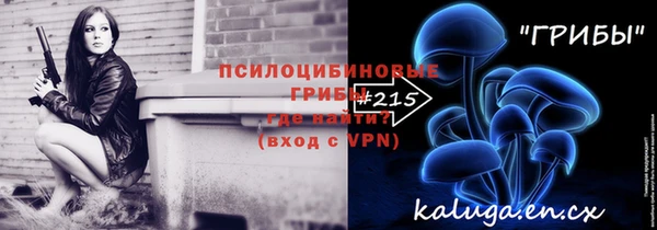 прущие грибы Вязники