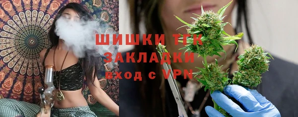 эйфоретик Вяземский