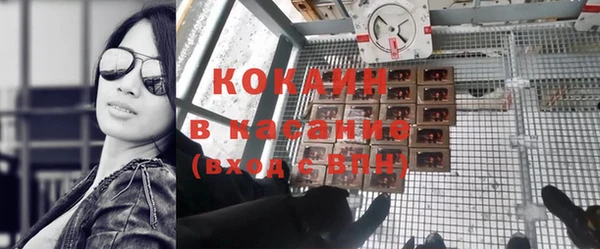 прущие грибы Вязники