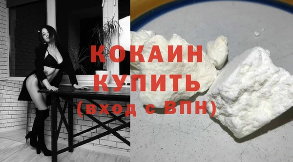 прущие грибы Вязники
