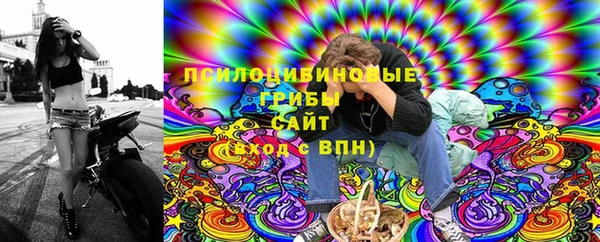 соль ск Вязьма