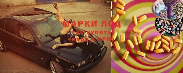 эйфоретик Вяземский