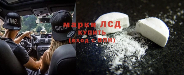прущие грибы Вязники