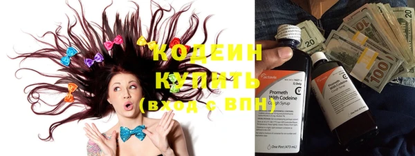 эйфоретик Вяземский
