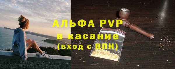 прущие грибы Вязники