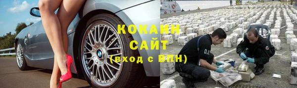 эйфоретик Вяземский