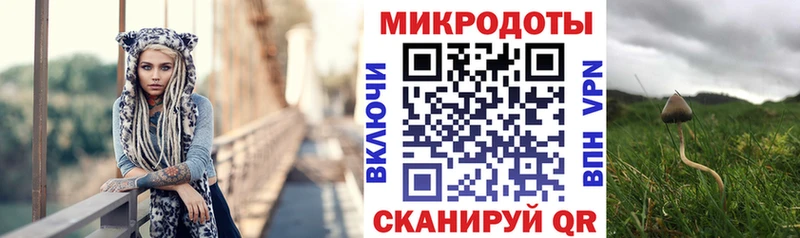 это официальный сайт  купить закладку  Енисейск  Псилоцибиновые грибы Cubensis 